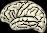 Dynamical Psychology