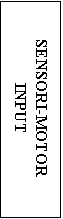 Text Box: SENSORI-MOTOR
INPUT
