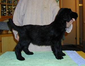 P3230445.jpg (24750 bytes)